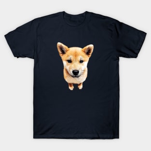 Shiba Inu Puppy Dog Cutest Pup! T-Shirt